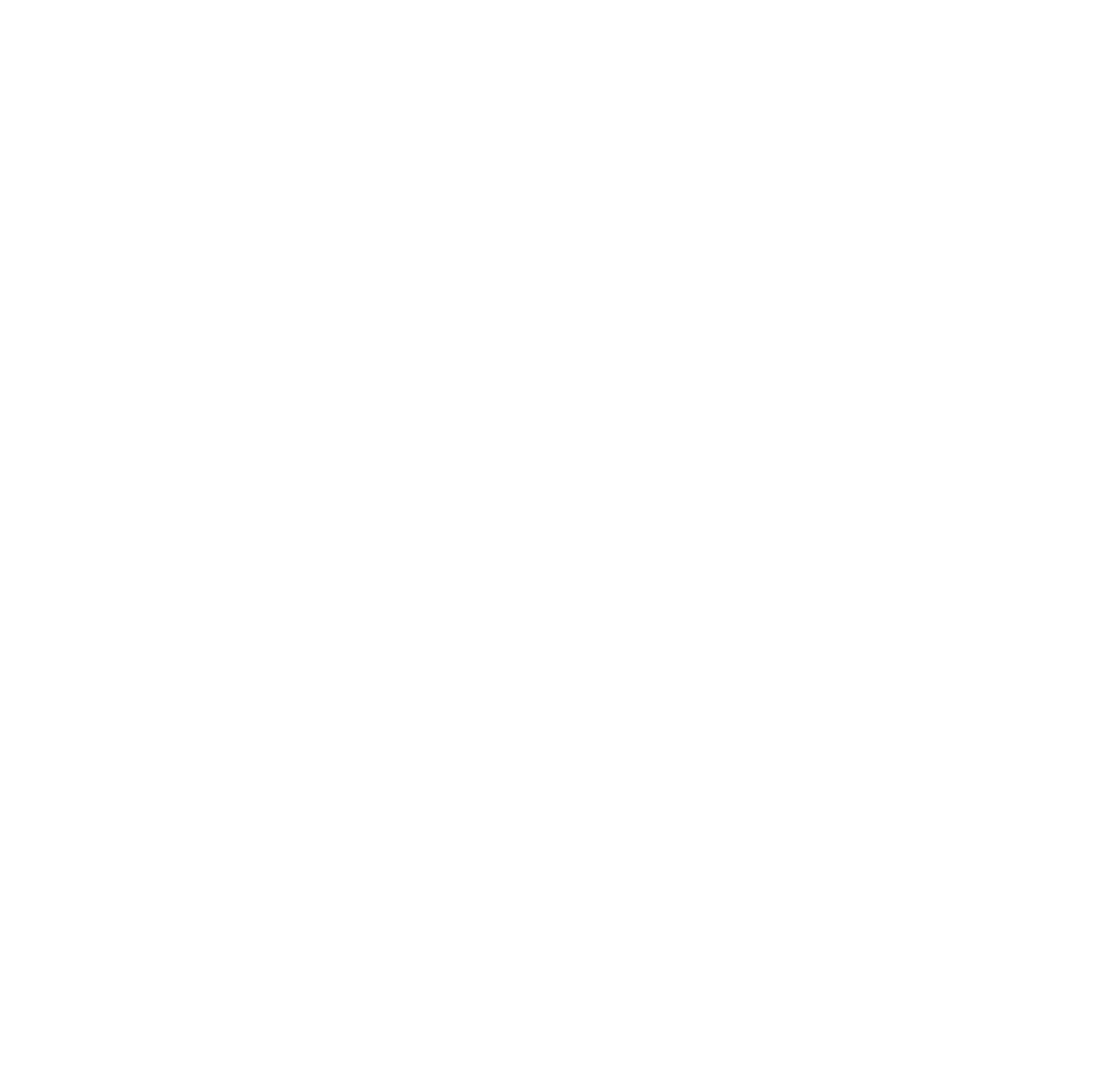 FRACTURES.